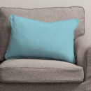 Наволочка для подушки Bristol BRI-AHD-001-131 (размер 65 x 45)