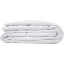 Ковдра всесезонна 200х220 см White Cloud