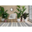 Стілець Selin TD210/2 light grey