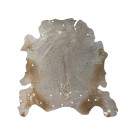 Килим Glam 110 Ivory/Gold 135x165
