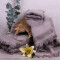 Полотенце для лица 5282 махровое 50х90 см BLOME Brown 161406 Полотенце для лица 5282 махровое 50х90 см BLOME Brown 161406