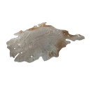 Килим Glam 110 Ivory/Gold 200x260