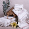Полотенце для лица 5282 махровое 50х90 см BLOME Cream 2708201 Полотенце для лица 5282 махровое 50х90 см BLOME Cream 2708201