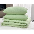 Одеяло зимнее 200х220 см Green Bamboo