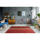 Килим Blaze 200 Multi/Red 155х230