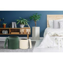 Набір пуфів Zorro T225 / 2 Green / Ivory