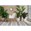 Стілець Velis TD110 / 2 White