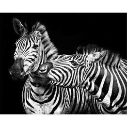 Картина Zebras family 75х100 cm