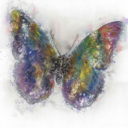 Фреска Butterfly