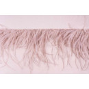 Набор подушек Palmira 225 Champagne